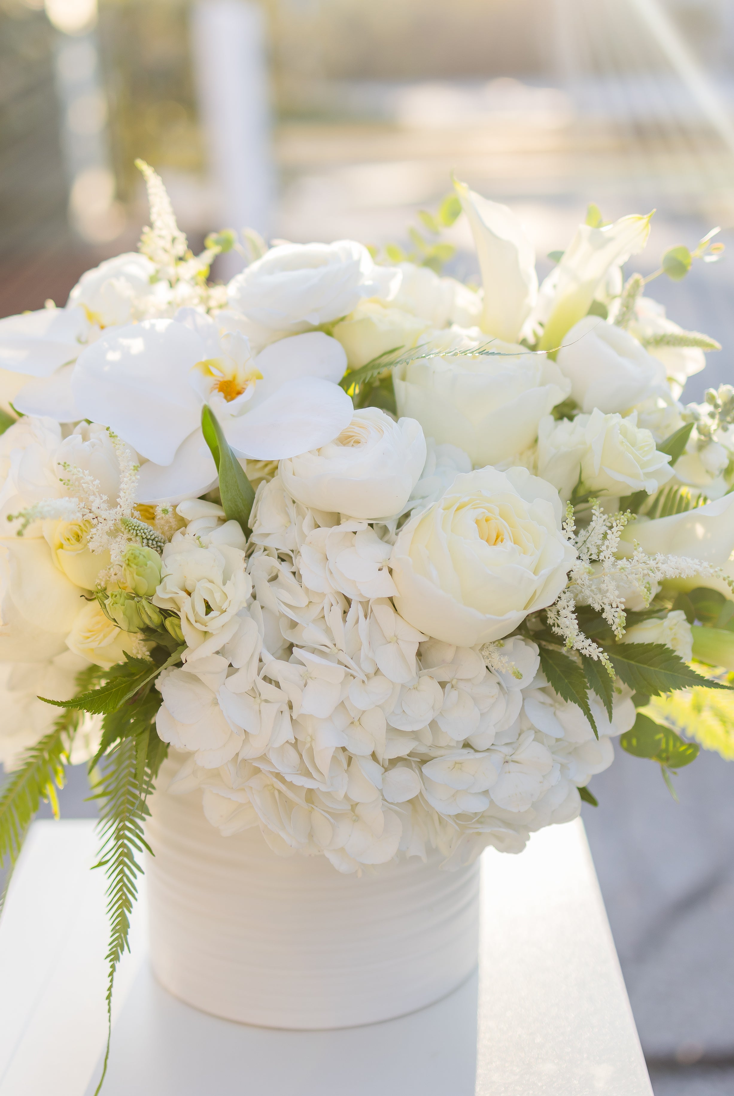 The White Collection