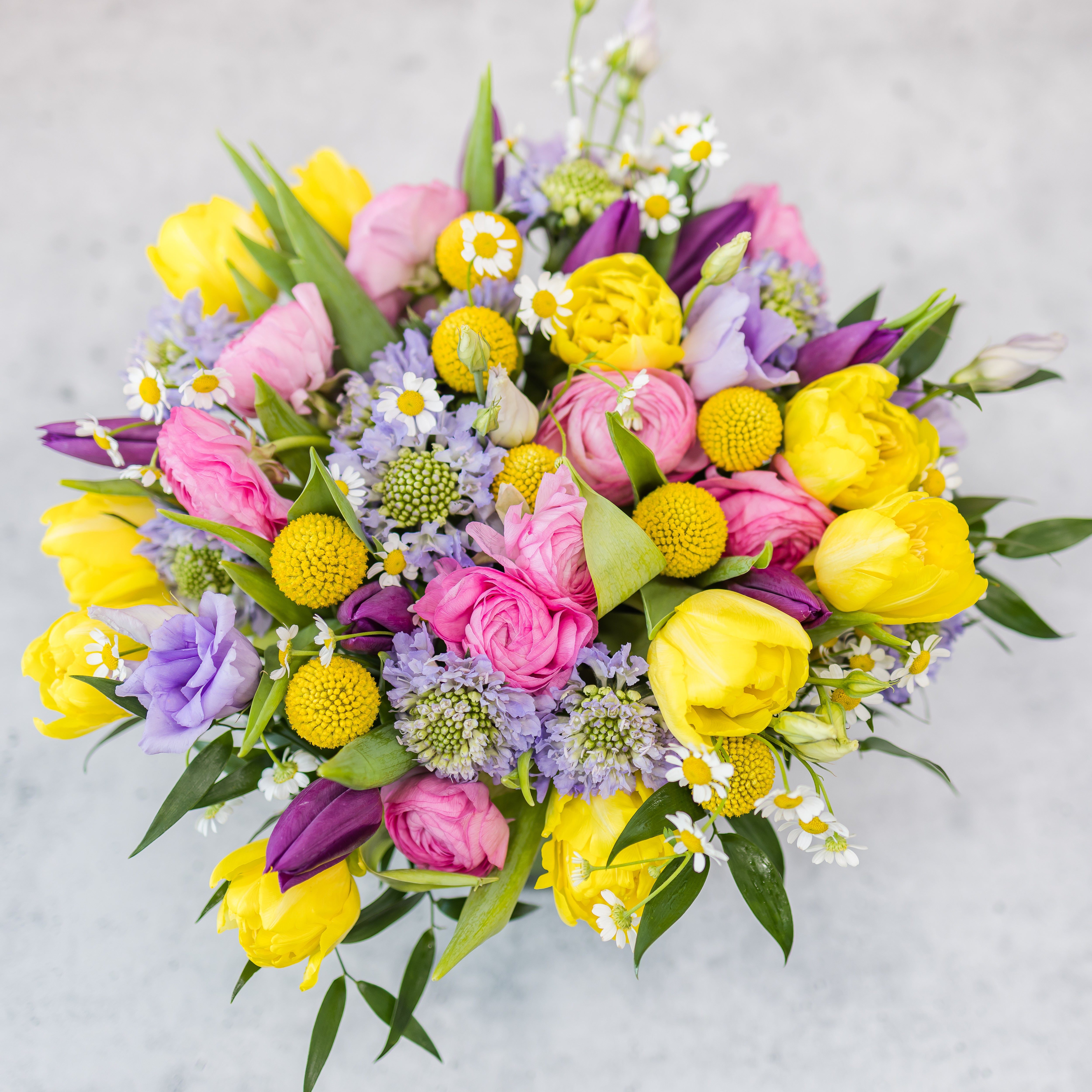 The Pastel Collection