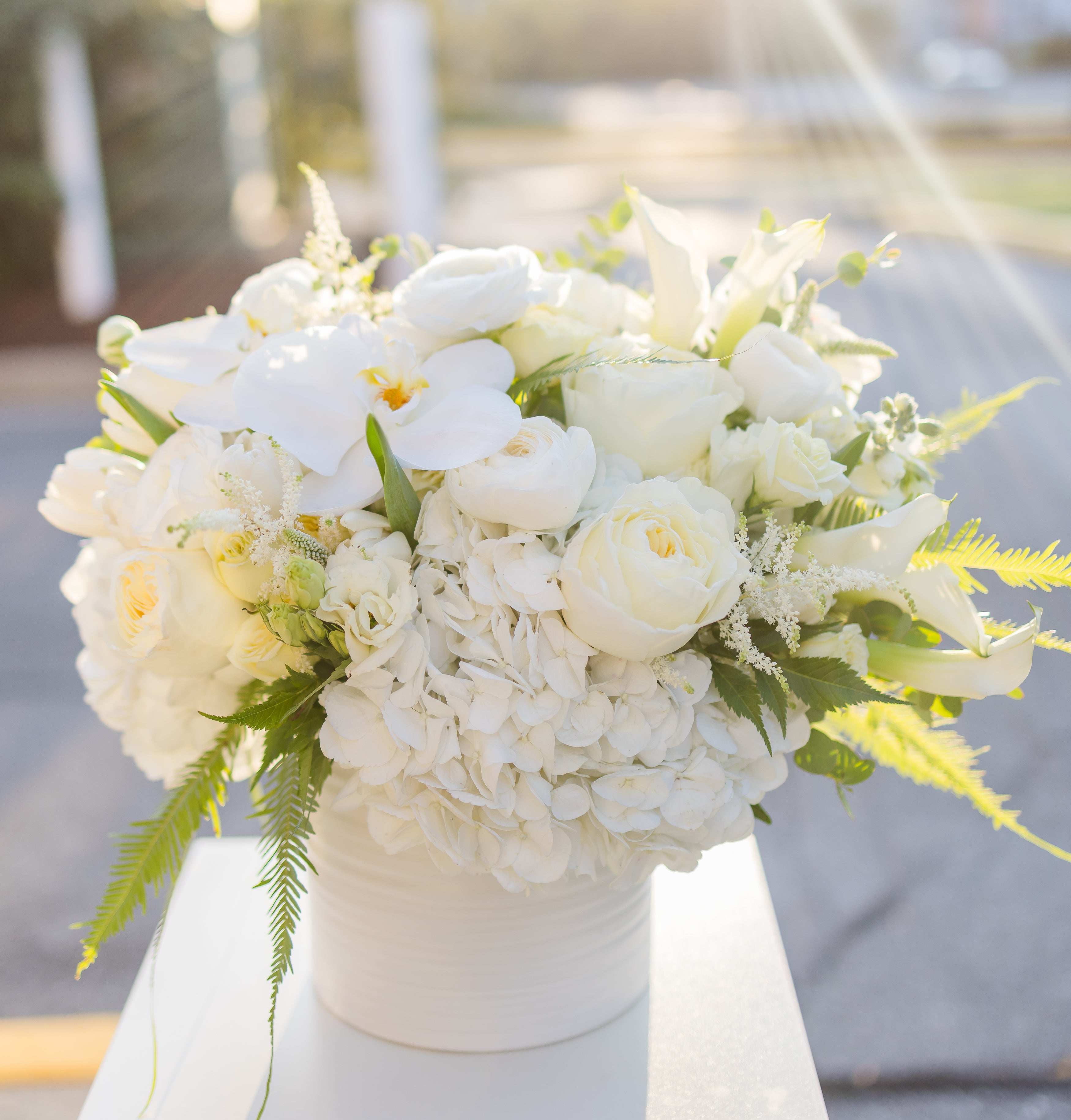 The White Collection