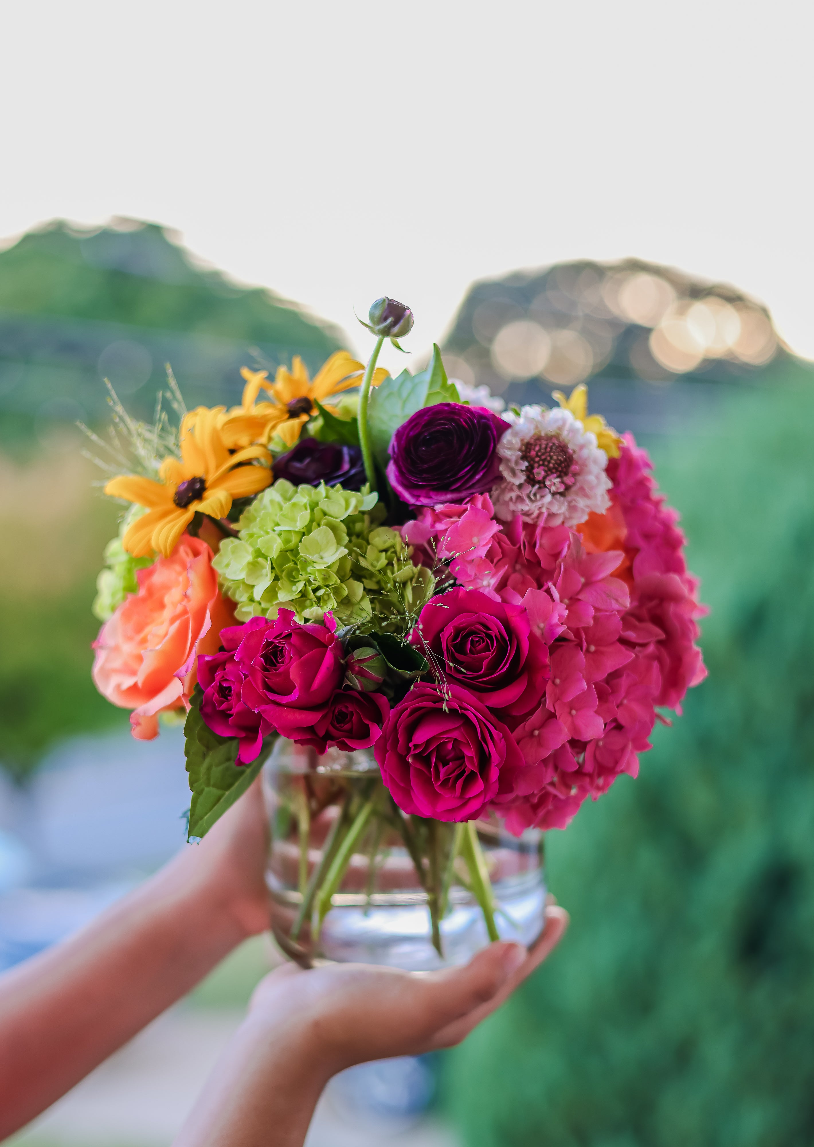 Bright & Bold Colors