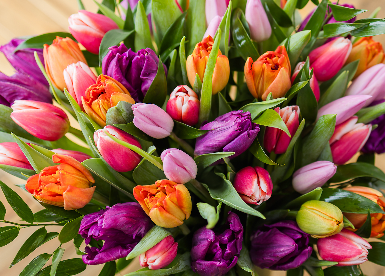 Mother's Day