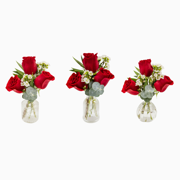 Mini Bud Vase Trio (Assorted Vases)