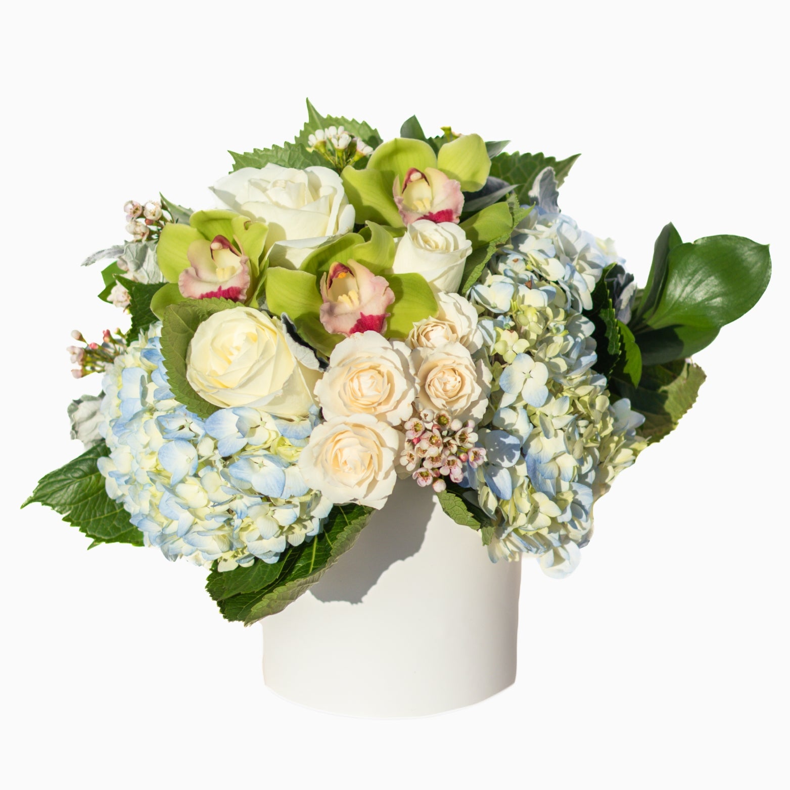 Clear Blue Skies – Genesis Floral